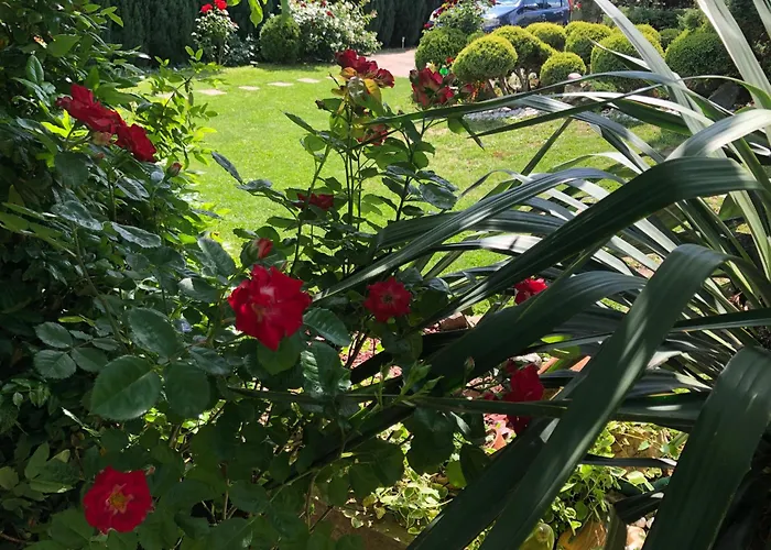 Apartamento Mm Srce *