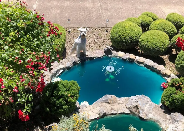 Apartamento Mm Srce *